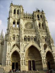 Rose de Notre Dame d'Amiens