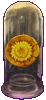 N&eacute;nuphar (NYMPHEACEES)