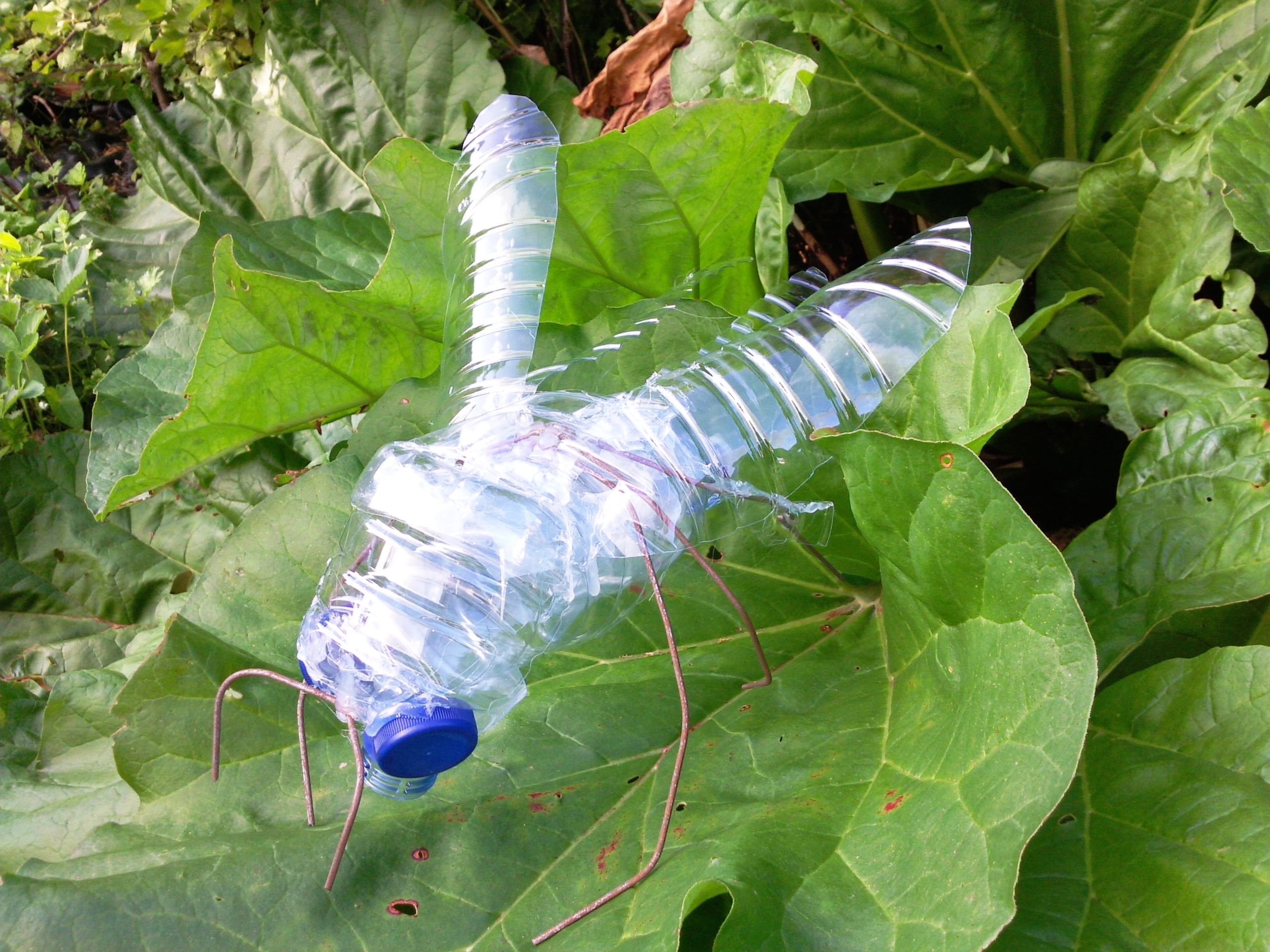 Comment Faire Un Insecte En Art Plastique Métamorphose de la bouteille en insecte | Espace Graphique