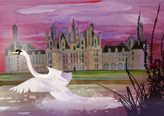 Cygne sur le plan d'eau de Chambord