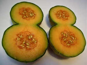 Double melon