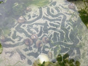 Labyrinthe de sable