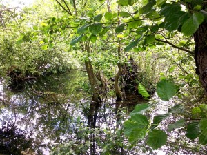 Réserve naturelle du parc d'Isle