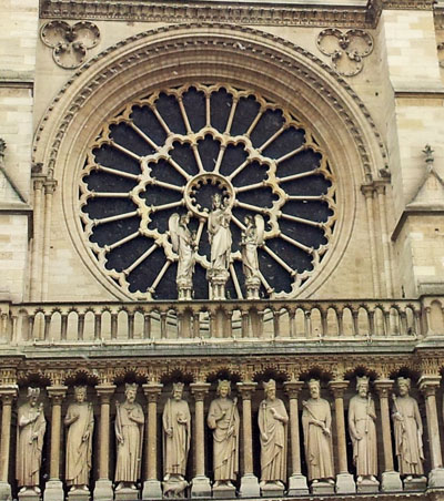 Rose de Notre-Dame de Paris