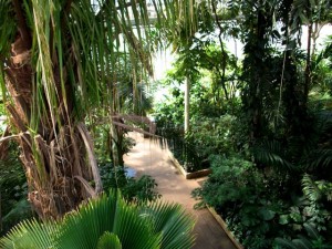 Intérieur des serres de Kew Gardens