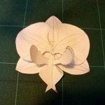 Maquette de la fleur en papier