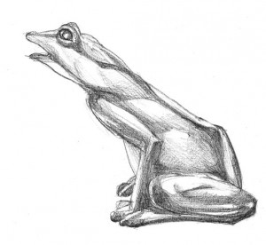 Dessin de grenouille