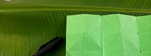 origami-sur-feuille