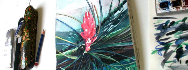 Aquarelle de tillandsia