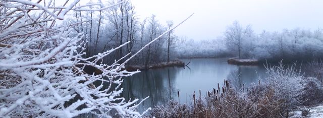 Parc d'Isle gelé