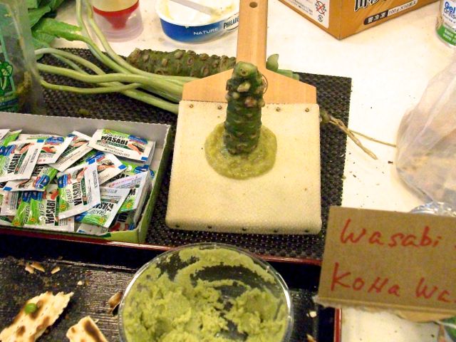 Wasabia japonica (Wasabi) - Préparation