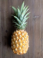 Ananas comosus - Jaune