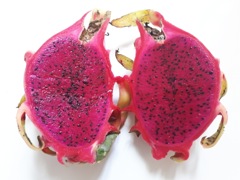 Hylocereus polyrhizus (Pitaya sanguin) - Coupe