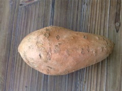 Ipomoea batatas (Patate douce)