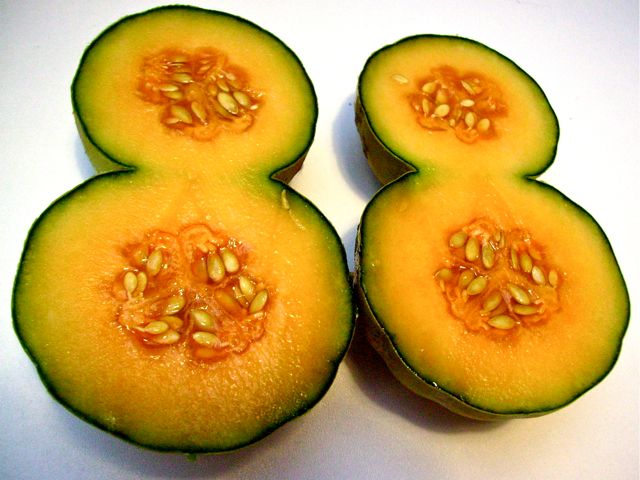 Cucumis melo (Melon) - Coupe du Melon double