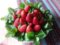 Fraises et menthe