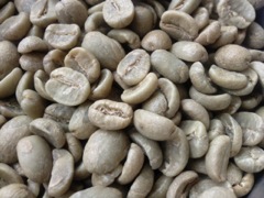 grains de café